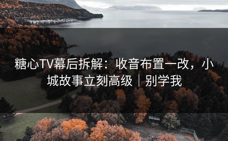 糖心TV幕后拆解：收音布置一改，小城故事立刻高级｜别学我