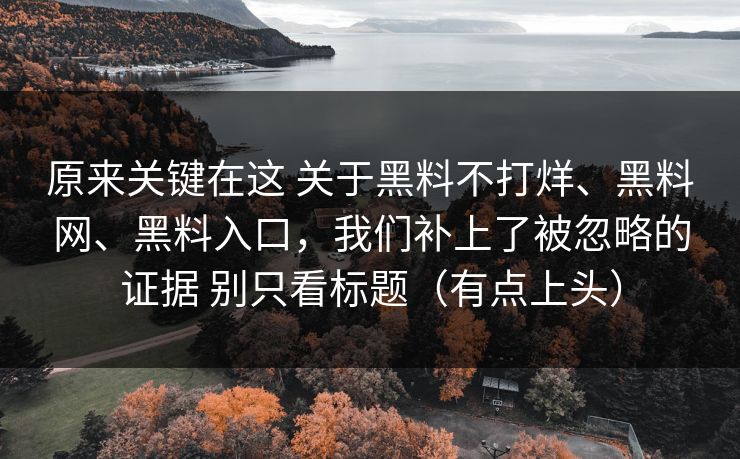 原来关键在这 关于黑料不打烊、黑料网、黑料入口，我们补上了被忽略的证据 别只看标题（有点上头）
