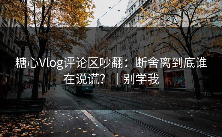 糖心Vlog评论区吵翻：断舍离到底谁在说谎？｜别学我