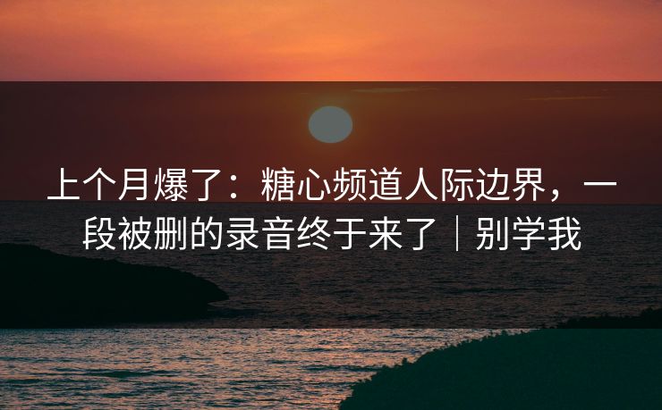 上个月爆了：糖心频道人际边界，一段被删的录音终于来了｜别学我