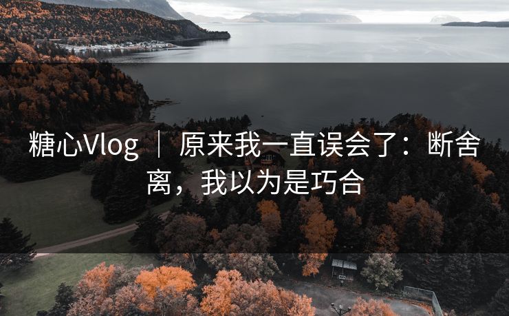 糖心Vlog ｜ 原来我一直误会了：断舍离，我以为是巧合