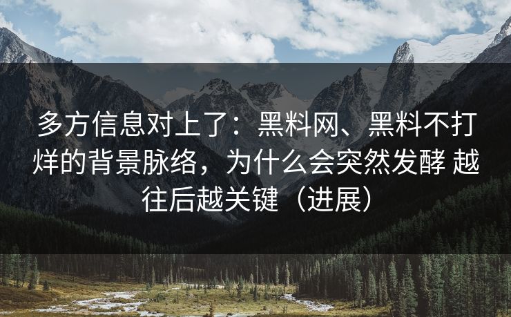 多方信息对上了：黑料网、黑料不打烊的背景脉络，为什么会突然发酵 越往后越关键（进展）