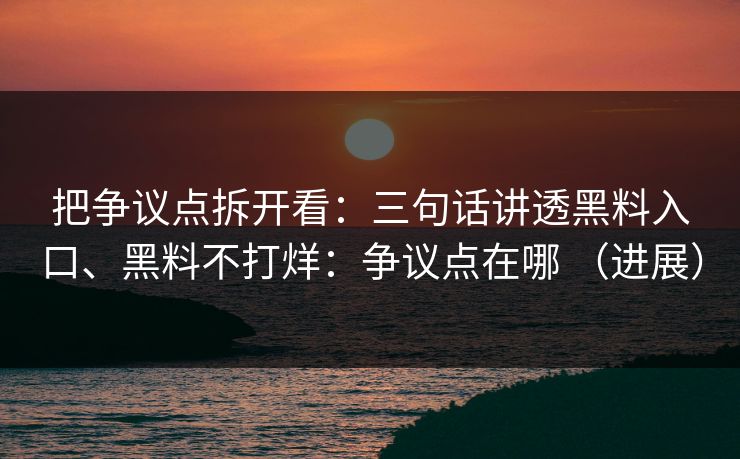 把争议点拆开看：三句话讲透黑料入口、黑料不打烊：争议点在哪 （进展）