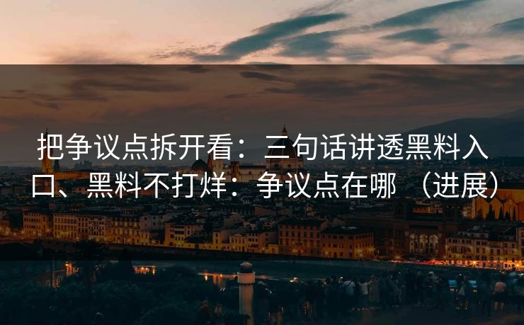 把争议点拆开看：三句话讲透黑料入口、黑料不打烊：争议点在哪 （进展）