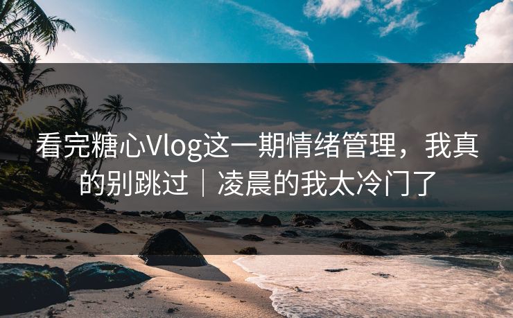 看完糖心Vlog这一期情绪管理，我真的别跳过｜凌晨的我太冷门了