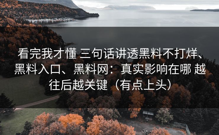 看完我才懂 三句话讲透黑料不打烊、黑料入口、黑料网:真实影响在哪 越往后越关键(有点上头) 看完我才懂 三句话讲透黑料不打烊、黑料入口、黑料网:真实影响在哪 越往后越关键(有点上头)