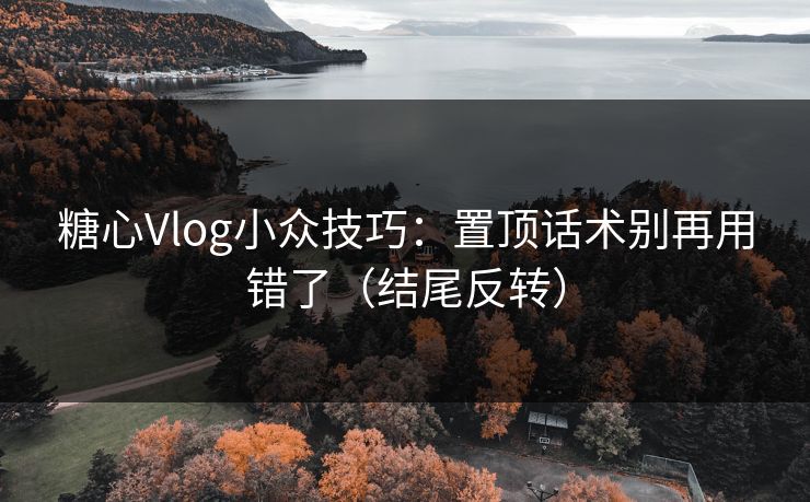 糖心Vlog小众技巧：置顶话术别再用错了（结尾反转）