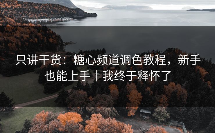只讲干货：糖心频道调色教程，新手也能上手｜我终于释怀了